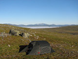 Tent 7