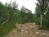 Trail 17