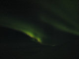 Aurora 3