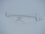 Bridge 8
