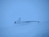 Ptarmigan 1