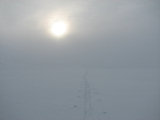 Sun 9