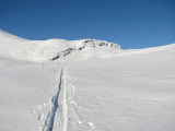 Trail 1