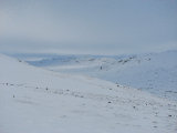 Fjelds 11