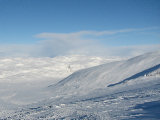 Fjelds 1