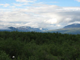 Fjelds 2
