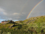 Rainbow 5