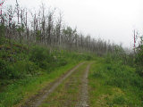 Road 5