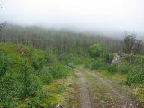 Road 6