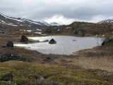 Tarns 1