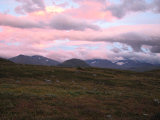 Evening 3