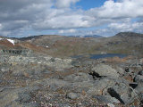 Fjelds 5