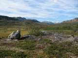 Fjelds 1