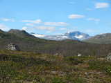 Fjelds 2