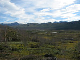 Fjelds 3