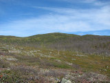 Fjelds 4