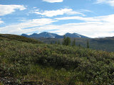Fjelds 5