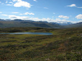 Fjelds 6