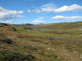 Fjelds 7