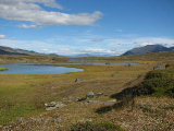 Fjelds 8