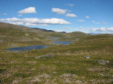 Fjelds 9