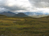 Fjelds 10