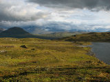 Fjelds 11