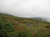 Fjelds 1