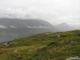 Fjelds 2