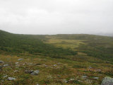 Fjelds 3