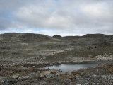 Fjelds 5