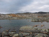 Fjelds 6