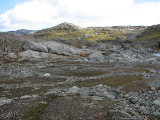 Fjelds 1