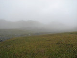 Fog 2