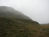 Fog 3