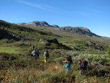 Group 1