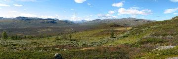 Panorama 1