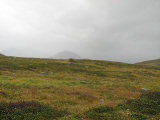 Rain 3