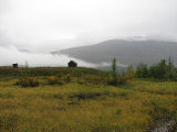 Reindeer-watching hut 1