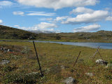 Reindeer fence 1