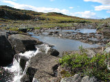 Stream 2