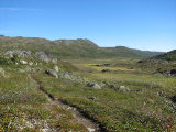 Trail 1