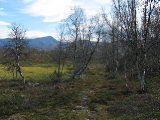 Trail 3