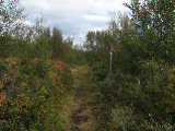 Trail 1