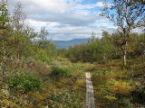 Trail 2