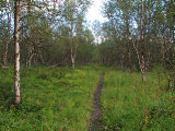 Trail 3