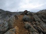 Trail 7