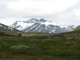 Cabin 1