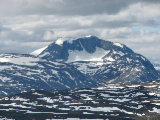 Fjelds 6