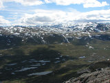 Fjelds 8